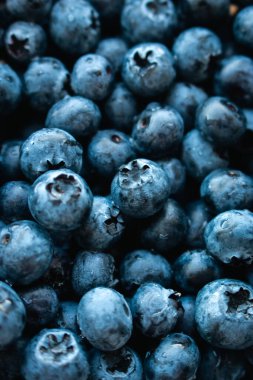 Su damlalarında taze yaban mersini, üst manzarayı kapatın. Siyah ve mavi sulu meyveler. Doğal mavi arka plan. Yaz vitamin hasadı. Doğal beslenme. Sağlıklı yiyecekler. Tazelik kavramı. Bir grup olgun yabanmersini..