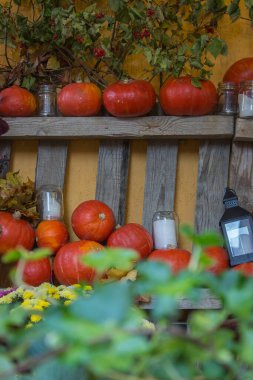 Ahşap çitin üzerinde mum ve fener olan parlak balkabakları. Cadılar Bayramı süsü. Su kabağı hasadı. Sonbahar yapraklı balkabakları. Balkabaklarıyla sonbahar sakin bir hayat. Şükran Günü dekoru. Kırsal alan. Kırsal alan.