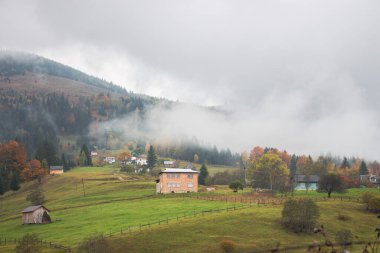 Yağmurlu bir günde dağlarda bir dağ köyü. Carpathian dağlarında sonbahar manzarası. Sonbahar ormanı ve yerel evlerle sakin kırsal alan. Sisli dağlar ve orman. Otantik Ukrayna