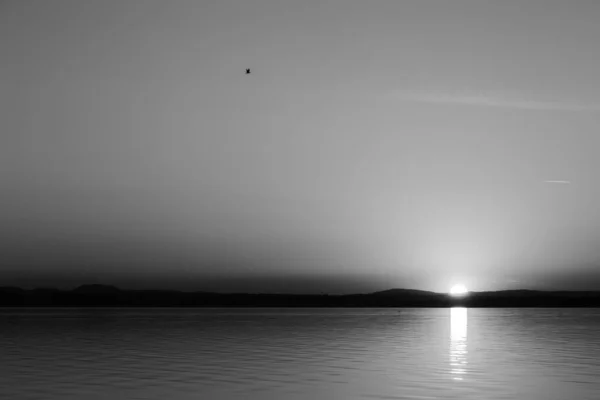 Distant Minimalistic Sunset Lake — Stock Photo, Image