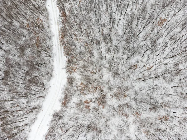 Вид Зверху Зимовий Ліс Дорогою Посеред Дерев — стокове фото