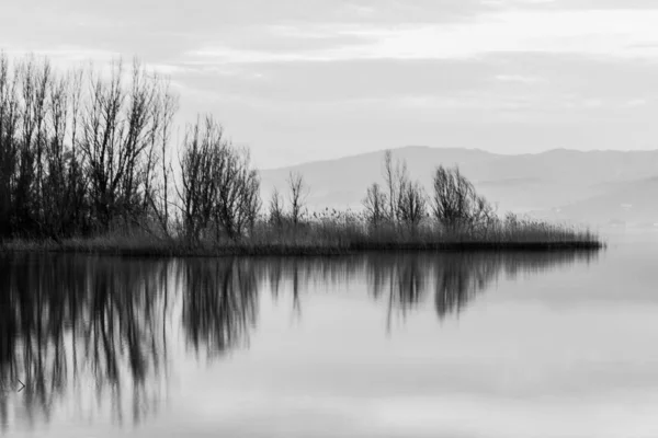 Riflessioni Sugli Alberi Perfettamente Simmetriche Lago — Foto Stock