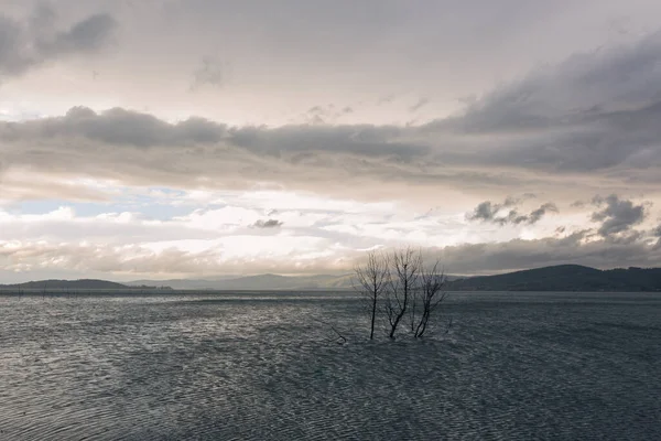 Alberi Scheletrici Lago Sotto Cielo Drammatico Lunatico — Foto Stock