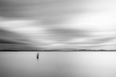 Minimalist view of fishing net poles on a lake, with perfectly still water and empty sky at dusk.