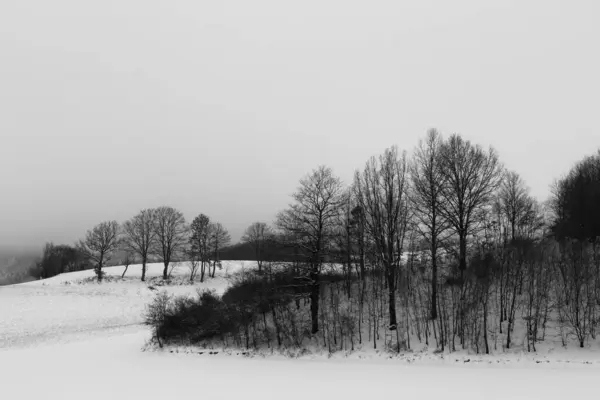 Зимовий Пейзаж Деревами Пагорбом Вкритим Снігом Під Примхливим Хмарним Небом — стокове фото