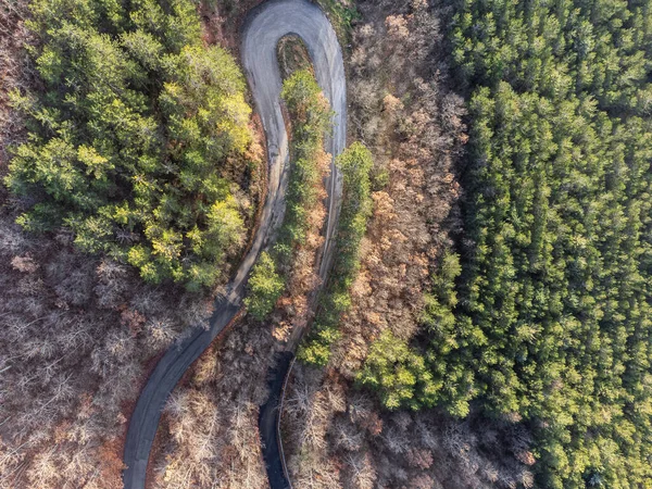 Top View Hairpin Bend Middle Forest — Foto Stock