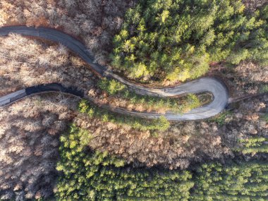 Top-down view of an hairpin bend in the middle of a forest.