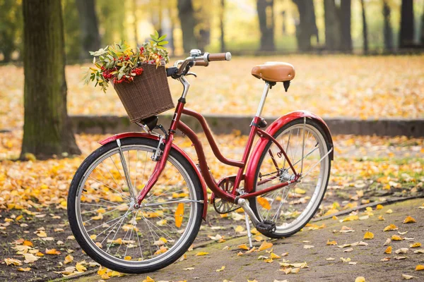 城市公园里有一辆自行车的美丽的风景画 车上有红色花朵的红色自行车 — 图库照片