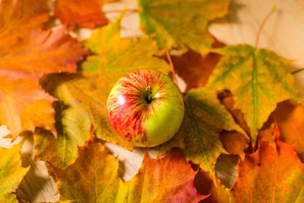 stock image Fresh Apples. three delicious, fresh apples lying on colorful leaves.