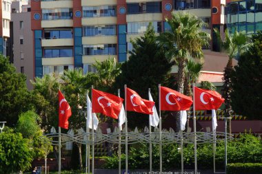 Güneşin aydınlattığı ve rüzgarda dalgalanan Türk bayrakları - Türkiye