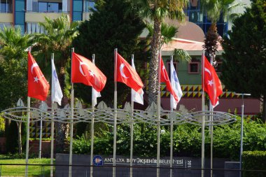Güneşin aydınlattığı ve rüzgarda dalgalanan Türk bayrakları - Türkiye