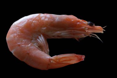 Güzelce yerleştirilmiş taze bir karides, dikkatlice buzdan bir yatağa yerleştirilmiş. Canlı pembe tonu ve narin dokusu ışığı yakalayıp tazeliğini ve okyanus tadını vurguluyor..