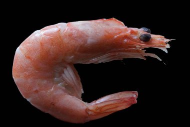 Güzelce yerleştirilmiş taze bir karides, dikkatlice buzdan bir yatağa yerleştirilmiş. Canlı pembe tonu ve narin dokusu ışığı yakalayıp tazeliğini ve okyanus tadını vurguluyor..