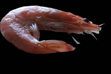 Taze ve lezzetli bir karides omurgasızlar güzel düzenlenmiş taze karidesler, buzdan bir yatağa dikkatlice yerleştirilmiş. Canlı pembe tonu ve narin dokusu ışığı yakalayıp tazeliğini ve okyanus tadını vurguluyor..