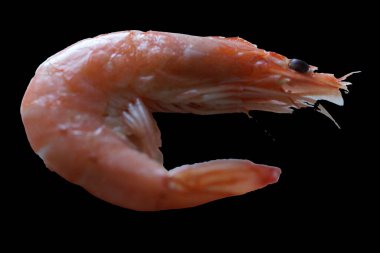 Taze ve lezzetli bir karides omurgasızlar güzel düzenlenmiş taze karidesler, buzdan bir yatağa dikkatlice yerleştirilmiş. Canlı pembe tonu ve narin dokusu ışığı yakalayıp tazeliğini ve okyanus tadını vurguluyor..