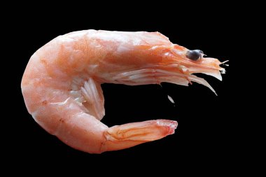 Taze ve lezzetli bir karides. Güzelce düzenlenmiş taze karides. Buzdan bir yatağa dikkatlice yerleştirilmiş. Canlı pembe tonu ve narin dokusu ışığı yakalayıp tazeliğini ve okyanus tadını vurguluyor..