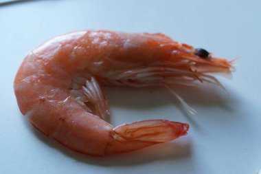 Taze ve lezzetli bir karides. Güzelce düzenlenmiş taze karides. Buzdan bir yatağa dikkatlice yerleştirilmiş. Canlı pembe tonu ve narin dokusu ışığı yakalayıp tazeliğini ve okyanus tadını vurguluyor..