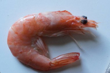 Taze ve lezzetli bir karides. Güzelce düzenlenmiş taze karides. Buzdan bir yatağa dikkatlice yerleştirilmiş. Canlı pembe tonu ve narin dokusu ışığı yakalayıp tazeliğini ve okyanus tadını vurguluyor..