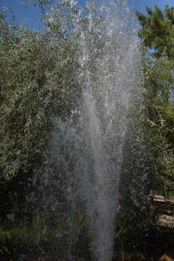Bir su jeti güç ve zarafetle yükselir ve gökyüzüne karşı kristal bir kolon oluşturur. Askıya alınmış damlacıklar ışığı yakalar ve hem dinamik hem de yatıştırıcı bir görsel etki yaratır..