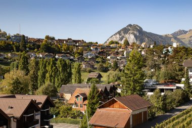 Alpine Swiss village on a hillside clipart