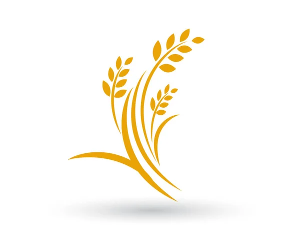 Den Vavřín Věnec Swoosh Logo Výročí Svatbě Ocenění — Stockový vektor