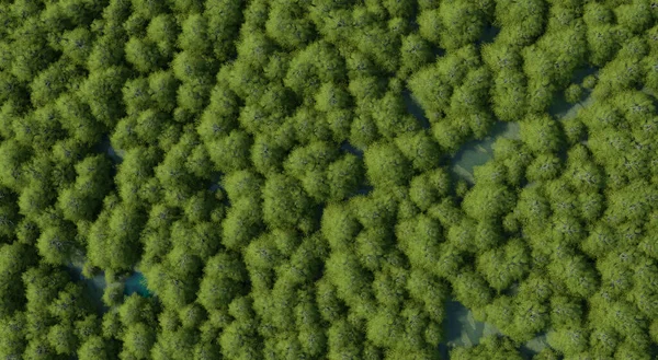 Horní Pohled Fotografie Lesa Plného Zelených Stromů Roztroušených Celé Oblasti — Stock fotografie