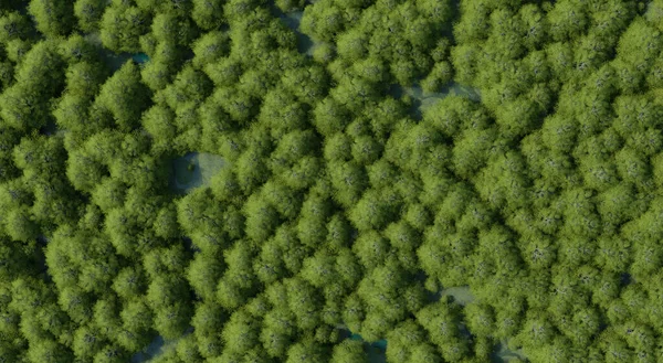 Top View Foto Van Een Bos Gevuld Met Groene Bomen — Stockfoto
