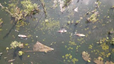 Video, Tayland 'da sakin ve temiz bir su deposunda kano süren bir kayıkçının görüntülerini gösteriyor. Atmosfer huzurlu ve su kristal gibi berrak.