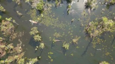 Video, Tayland 'da sakin ve temiz bir su deposunda kano süren bir kayıkçının görüntülerini gösteriyor. Atmosfer huzurlu ve su kristal gibi berrak.