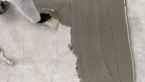 Builder Applies Tile Adhesive Floor Video Footage Construction Work Laying — Wideo stockowe