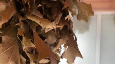 Smooth video footage in 4k quality in a foggy sauna with smooth camera panning along hanging brooms