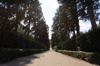 İtalya, Floransa 'da Pitti Sarayı veya Palazzo Pitti' de büyük bir park.