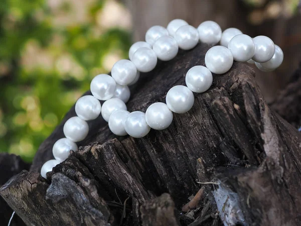 Perle Naturali Albero Sfondo Sfocato — Foto Stock