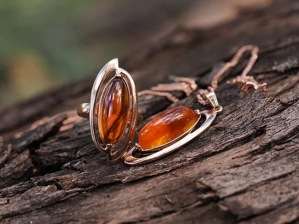 Baltic Amber Gold Jewelry Jewelry Photographed Bark Tree Blurred Background — Stock Photo, Image
