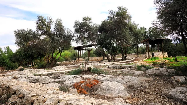 Lugar Descanso Bosque Israelí Haruvit Lugar Descanso Creado Sitio Histórico — Foto de Stock