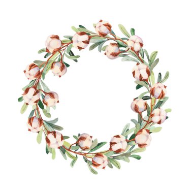 Otlar, elle boyanmış suluboya ökseotu yeşili dallar ve pamuk çizimleri. Bitki, tasarım için botanik elementler. Suluboya el çizimi çerçeve ortamı