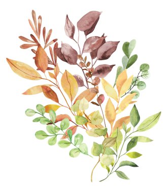 Suluboya el, beyaz arka planda izole botanik sonbahar yaprakları ve dallar çizdi. Düğün davetiyeleri ve tebrik kartları için ayrı nesneler