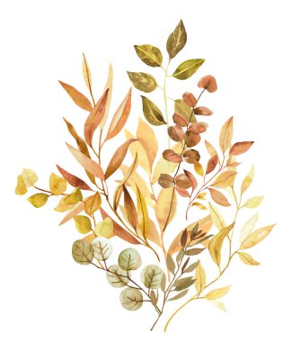Suluboya el, beyaz arka planda izole botanik sonbahar yaprakları ve dallar çizdi. Düğün davetiyeleri ve tebrik kartları için ayrı nesneler
