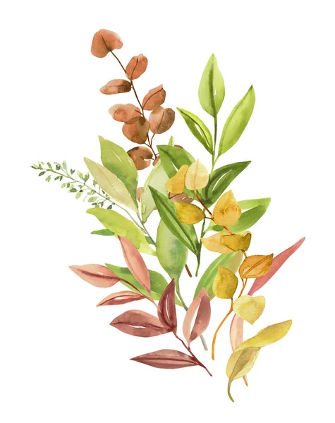Suluboya Beyaz Arka Planda Izole Botanik Sonbahar Yaprakları Dallar Çizdi — Stok fotoğraf