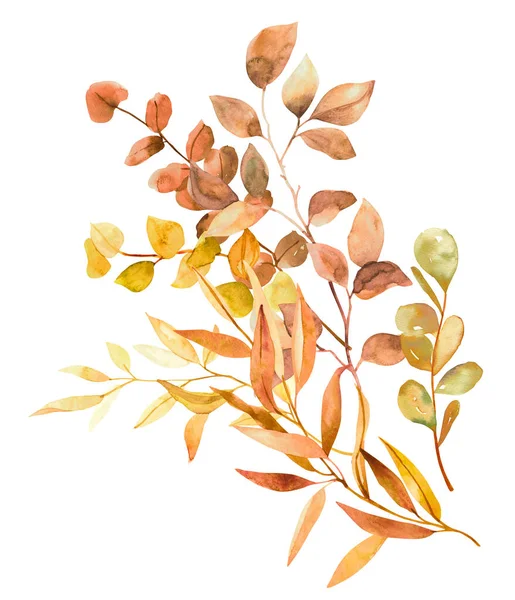 Suluboya Beyaz Arka Planda Izole Botanik Sonbahar Yaprakları Dallar Çizdi — Stok fotoğraf