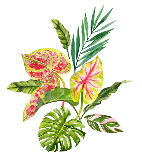 Akvarell Handritad Regnskog Tropiska Blad Bukett Sammansättning Botanisk Illustration Isolerad — Stockfoto