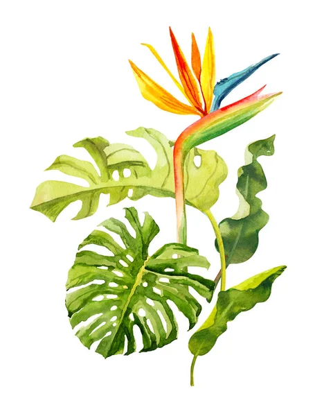 Akvarell Handritade Regnskog Tropiska Blad Och Blommor Bukett Sammansättning Botanisk — Stockfoto