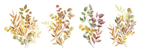 Akvarell Kézzel Festett Botanikus Őszi Levelek Ágak Illusztráció Előfizetői Elszigetelt — Stock Fotó