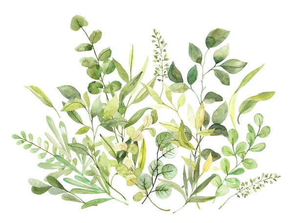 Akvarell Kézzel Festett Botanikus Tavaszi Levelek Ágak Illusztráció Előfizetői Elszigetelt — Stock Fotó