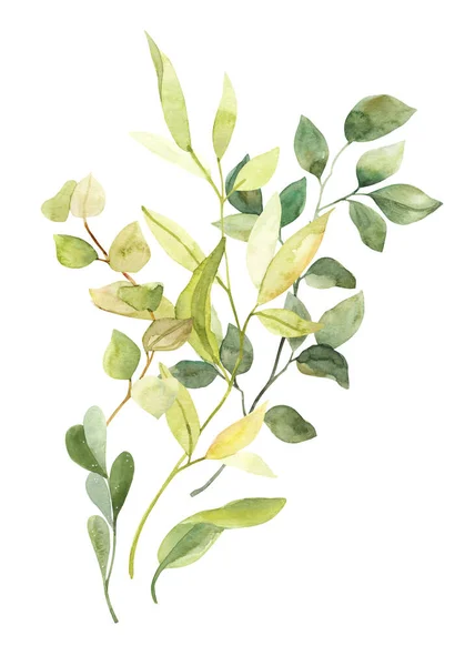 Akvarell Kézzel Festett Botanikus Tavaszi Levelek Ágak Illusztráció Előfizetői Elszigetelt — Stock Fotó