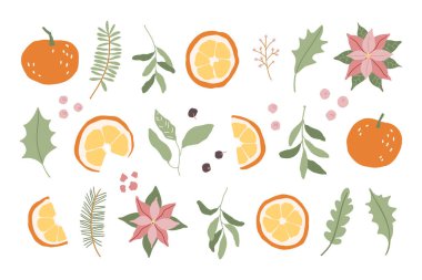 Vector kış Noel çiçeği, böğürtlenler lezzetli portakallar, yapraklar ve çizimler. Elle boyanmış portakal. Beyaz arkaplanda izole edilmiş şirin düz meyve simgesi