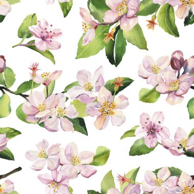 Suluboya elle boyanmış kiraz çiçekleri çizimi kusursuz desen - bahar ambalaj kağıdı, kumaş ve yüzey tasarımı, duvar kağıdı