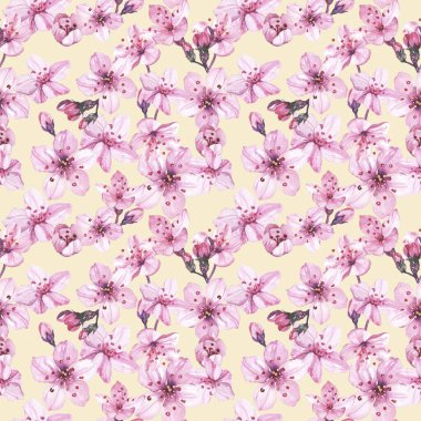 Suluboya elle boyanmış kiraz çiçekleri çizimi kusursuz desen - bahar ambalaj kağıdı, kumaş ve yüzey tasarımı, duvar kağıdı