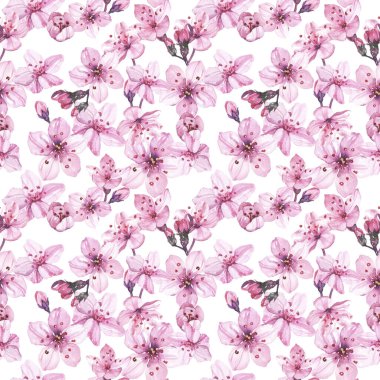 Suluboya elle boyanmış kiraz çiçekleri çizimi kusursuz desen - bahar ambalaj kağıdı, kumaş ve yüzey tasarımı, duvar kağıdı