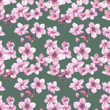 Suluboya elle boyanmış kiraz çiçekleri çizimi kusursuz desen - bahar ambalaj kağıdı, kumaş ve yüzey tasarımı, duvar kağıdı